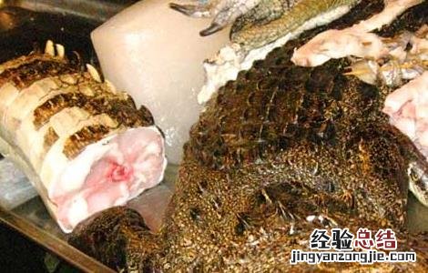 鳄鱼肉能不能吃