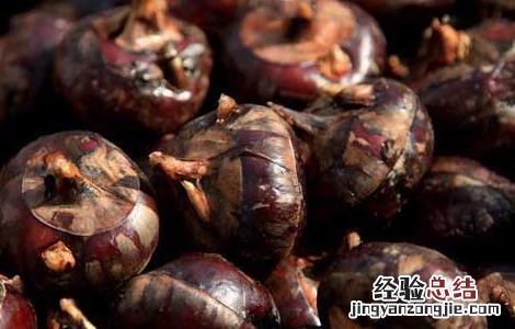 孕妇能吃荸荠吗 孕妇能吃荸荠吗初期
