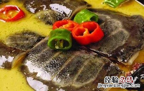 甲鱼不能和什么一起吃 甲鱼不能和什么一起吃 与甲鱼相克的食物