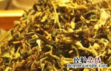 老鹰茶的功效与作用及禁忌 老鹰茶的功效与禁忌