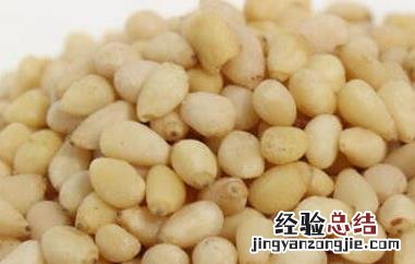 马尾松仁的功效与作用禁忌 马尾松仁的功效与作用