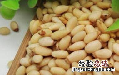 马尾松仁的功效与作用禁忌 马尾松仁的功效与作用