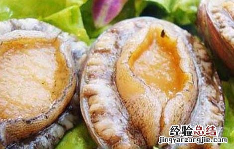 鲜鲍鱼能生吃吗 干鲍鱼可以生吃吗
