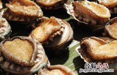 肾炎能吃鲍鱼吗女性 肾炎能吃鲍鱼吗