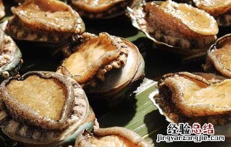 肾炎能吃鲍鱼吗女性 肾炎能吃鲍鱼吗