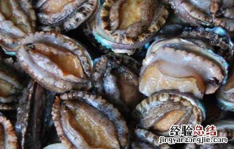 孕妇能吃鲍鱼吗
