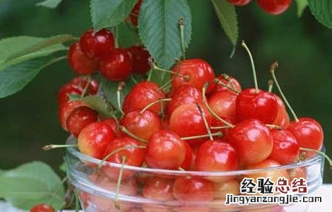 糖尿病人能吃樱桃吗 糖尿病人能吃樱桃吗