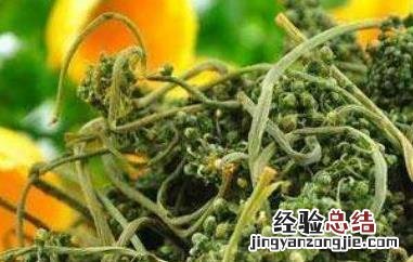 人参花茶的功效与作用 人参花茶的功效与作用和好处是什么?