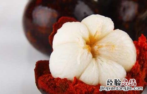 肾炎能吃山竹吗? 肾炎能吃山竹吗
