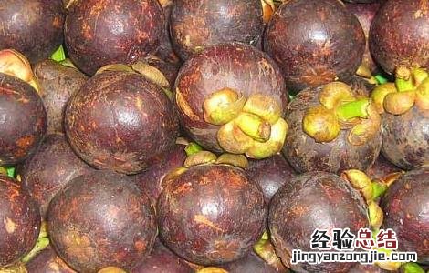 肾炎能吃山竹吗? 肾炎能吃山竹吗