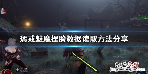 惩戒魅魔捏脸数据怎么用 惩戒魅魔捏脸数据放哪里
