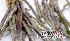 怎么吃铁皮石斛最好 铁皮石斛什么时候吃最好