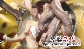 猪肚汤怎么煲 养胃猪肚汤怎么煲