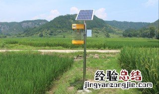 户外驱蚊方法 户外驱蚊方法有哪些