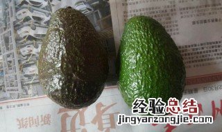 牛油果没熟怎么吃 未熟的牛油果怎么吃