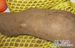哪些人不宜吃雪莲果 哪些人不能吃雪莲果