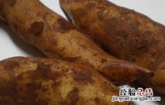 孕妇可以吃雪莲果吗 孕妇可以吃雪莲果吗孕晚期