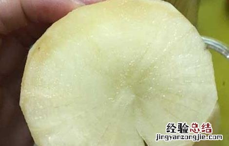 孕妇可以吃雪莲果吗 孕妇可以吃雪莲果吗孕晚期