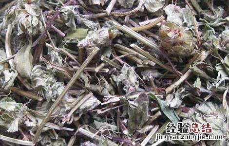孕妇能吃夏枯草吗? 孕妇能吃夏枯草吗