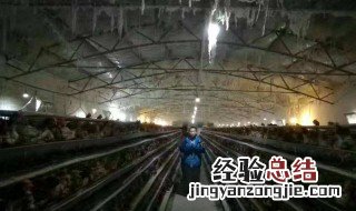 养殖算不算杀生 养殖户属于杀生吗