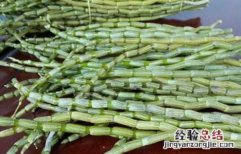 铁皮石斛生的可以吃吗 铁皮石斛能生吃吗