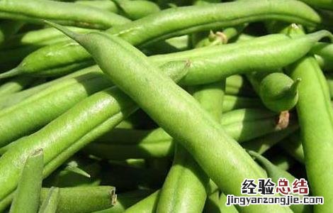 四季豆能不能吃生的 四季豆能不能生吃