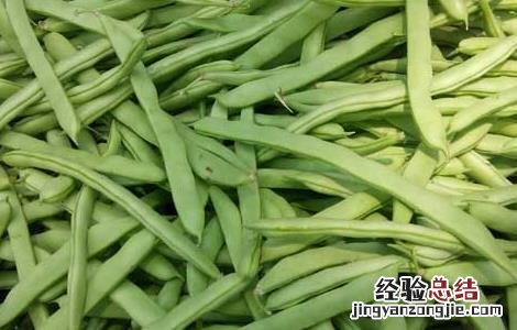 四季豆能不能吃生的 四季豆能不能生吃
