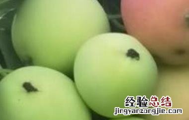 柰子和李子的区别是什么 柰子和李子的区别