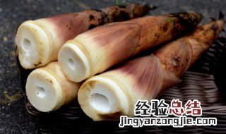 雷竹笋的腌制方法 雷竹笋的腌制方法和配方