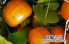 野柿子的功效与作用及禁忌 野柿子的功效与作用