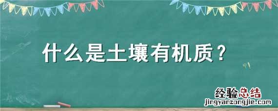 什么是土壤有机质的矿质化过程 什么是土壤有机质