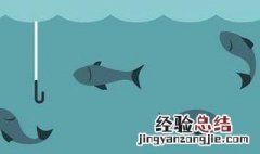 为什么钓鱼不让用血饵 血饵钓鱼到底有没有用