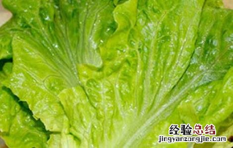 生菜不能与什么同吃 生菜不能与什么同吃会中毒