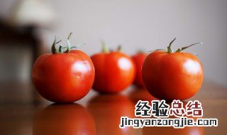 如何制作西红柿炖牛肉 怎么做简单的西红柿牛肉盅