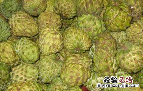 孕妇可以吃番荔枝吗? 孕妇可以吃番荔枝吗