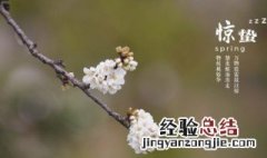 解释惊蛰和清明的意思 解释惊蛰和清明的解释