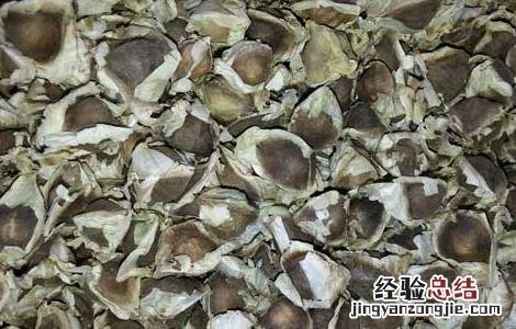 辣木籽可以长期吃吗 辣木籽可以长期吃吗
