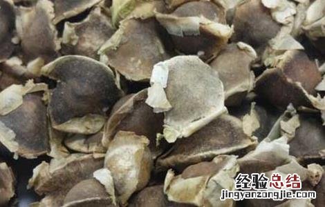 辣木籽可以长期吃吗 辣木籽可以长期吃吗
