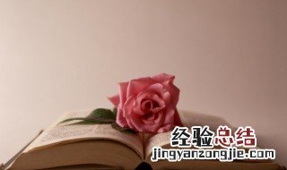 穆斯林的葬礼每章概括