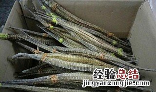 海龙的功效与作用 海龙的功效与作用吃法