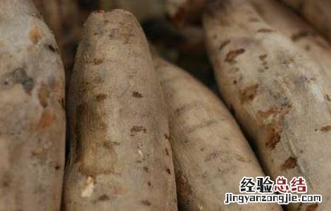 糖尿病人能吃红薯吗 二型糖尿病人能吃红薯吗