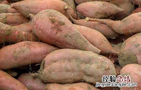红薯不能和什么一起吃香哈 红薯不能和什么一起吃