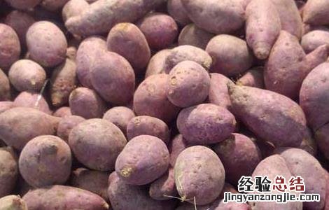 红薯不能和什么一起吃香哈 红薯不能和什么一起吃