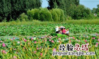 去青海湖的路线怎么走 如何去青海湖以及要注意什么