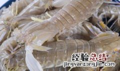 皮皮虾死了能吃了吗 皮皮虾死了能不能吃