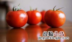 西红柿的减肥功效 西红柿减肥效果