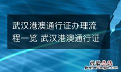 武汉港澳通行证办理流程一览 武汉港澳通行证办理流程一览表