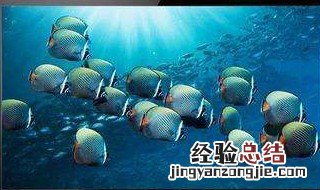 电视挂墙上好还是放电视机柜上好 摆放位置要根据家里的装修情况选择