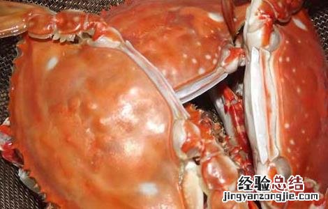 梭子蟹不能和什么一起吃会中毒 梭子蟹不能和什么一起吃