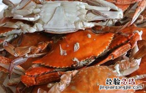 梭子蟹不能和什么一起吃会中毒 梭子蟹不能和什么一起吃